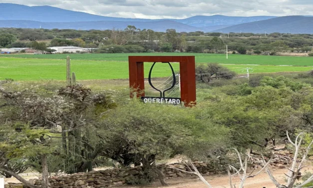 Querétaro: Visita Express a la Tierra del Queso y Los Vinos